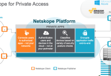 Netskope