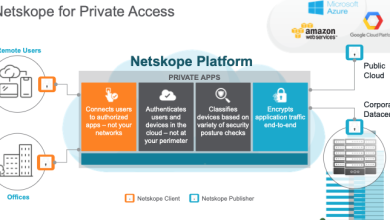 Netskope