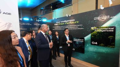 ASEAN AI Safety