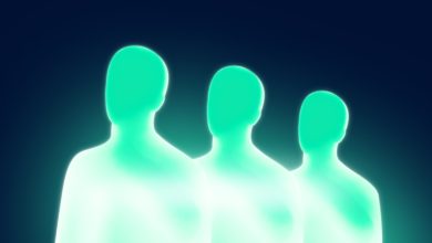 AI Agent Verification