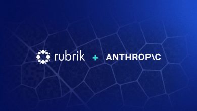 Rubrik Code Guardian